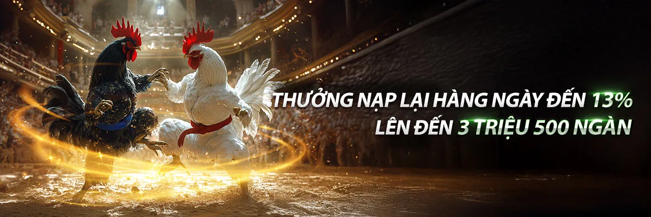 SV8888 Casino - Đánh giá chuyên sâu